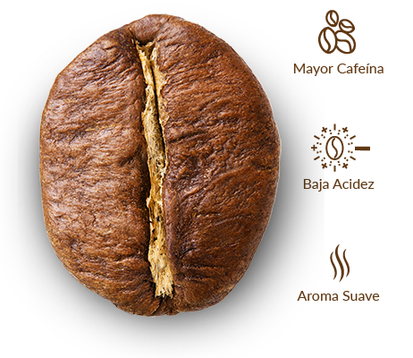 Cruzeiro café grano robusta