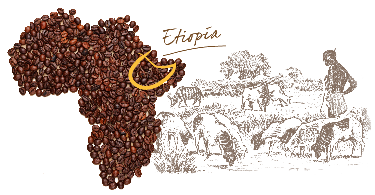 Cruzeiro Africa café Etiopía